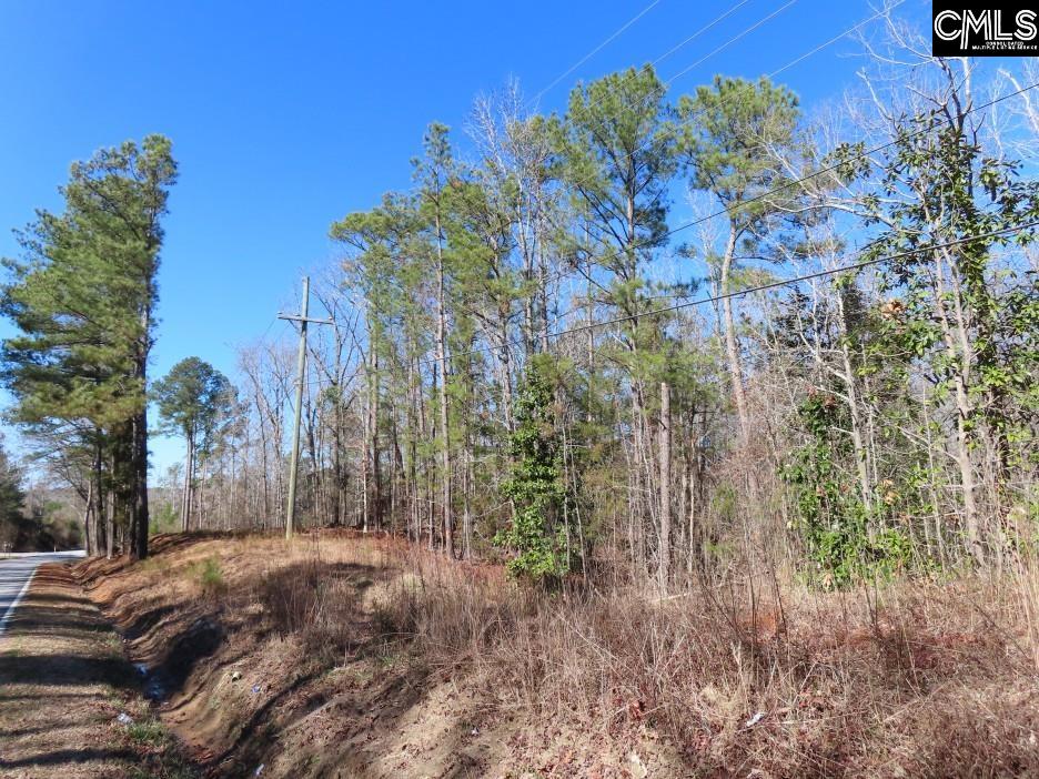 0 Rion Road Winnsboro, SC 29180 - Photo 37 of 42