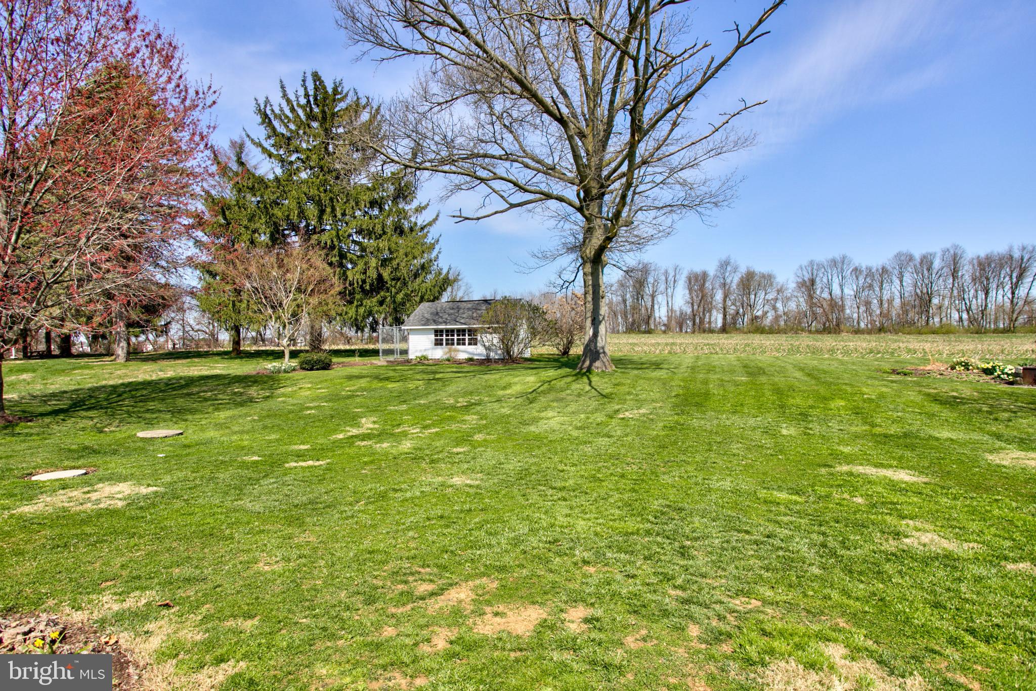 1853 Rockvale Road Lancaster, PA 17602 - Photo 36 of 43 a view of outdoor space with trees all around