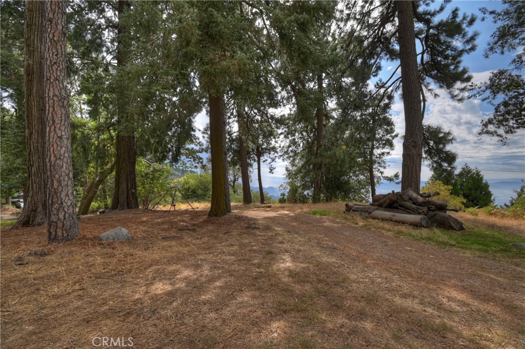 23919 Inspiration Crestline, CA 92325 - Photo 31 of 43 a view of a tree in the middle of a yard