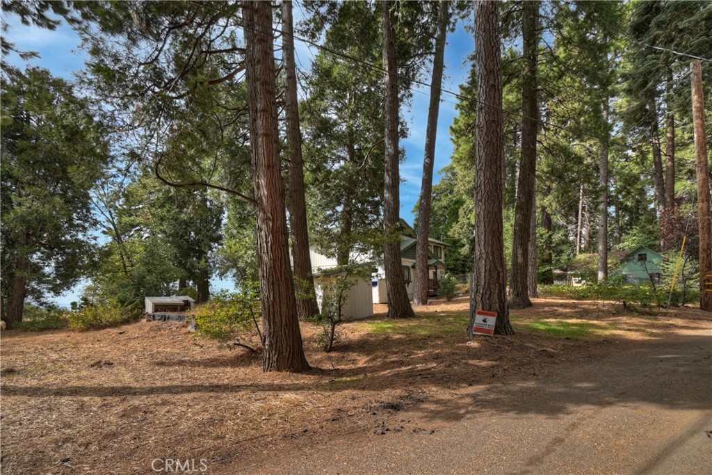 23919 Inspiration Crestline, CA 92325 - Photo 36 of 43 a view of road with trees
