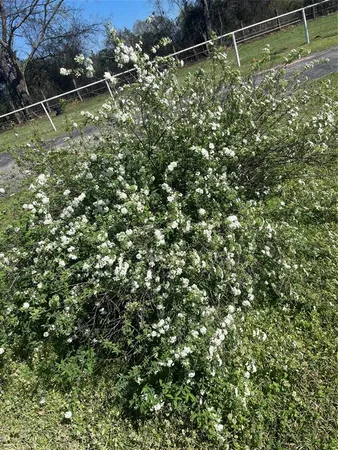 $335,000 | 1624 County Road 1560, Alba, TX 75410