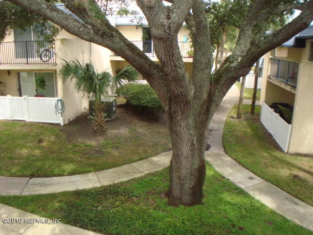 355 Monument Road, Unit 16D2 Jacksonville, FL 32225 - Photo 4 of 18 VIEW FROM BACK PORCH