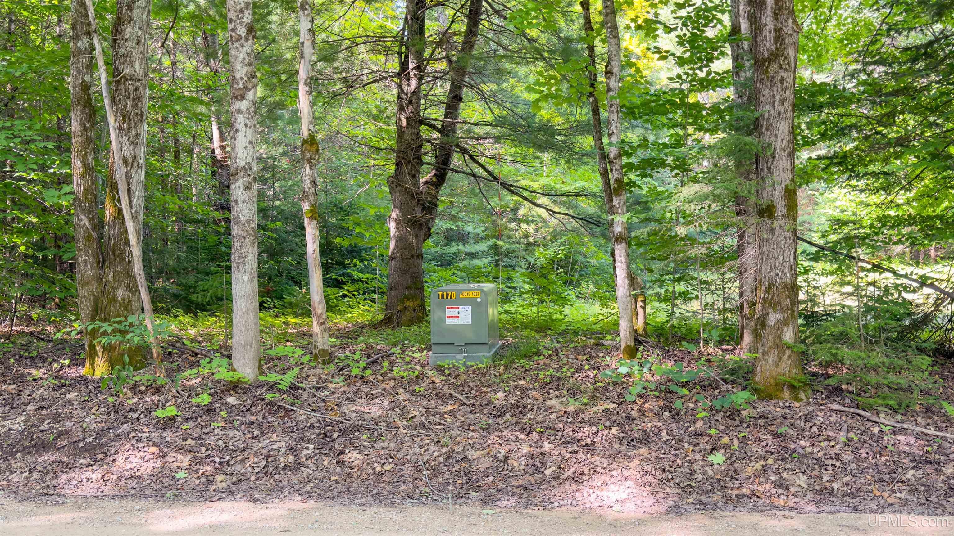 6590 County Road 445 Road Manistique, MI 49854 - Photo 30 of 30 Gallery Image 30