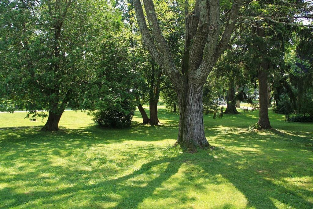 207 Chestnut Plain Road Whately, MA 01093 - Photo 36 of 42