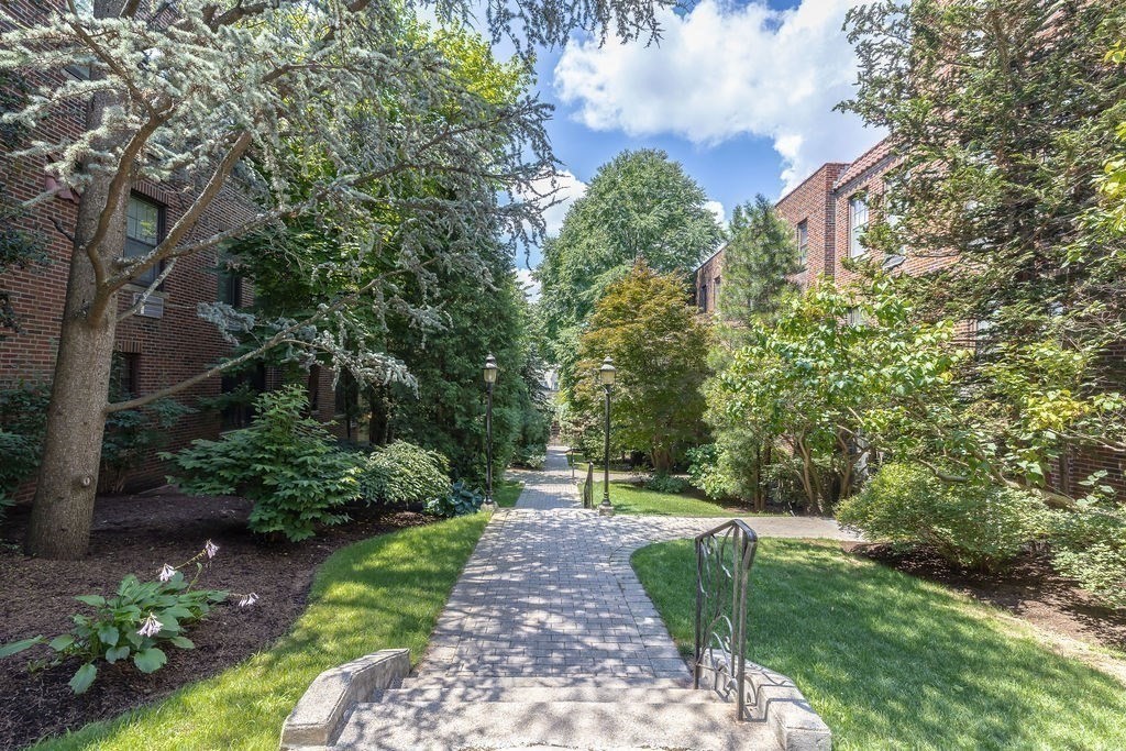 321 Tappan Street, Unit 2 Brookline, MA 02445 - Photo 21 of 25 a view of a garden with plants and trees