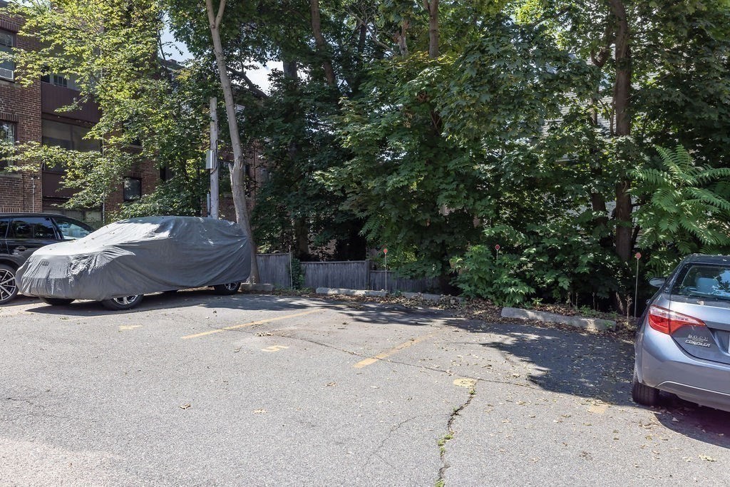 321 Tappan Street, Unit 2 Brookline, MA 02445 - Photo 24 of 25 a view of a yard with large trees