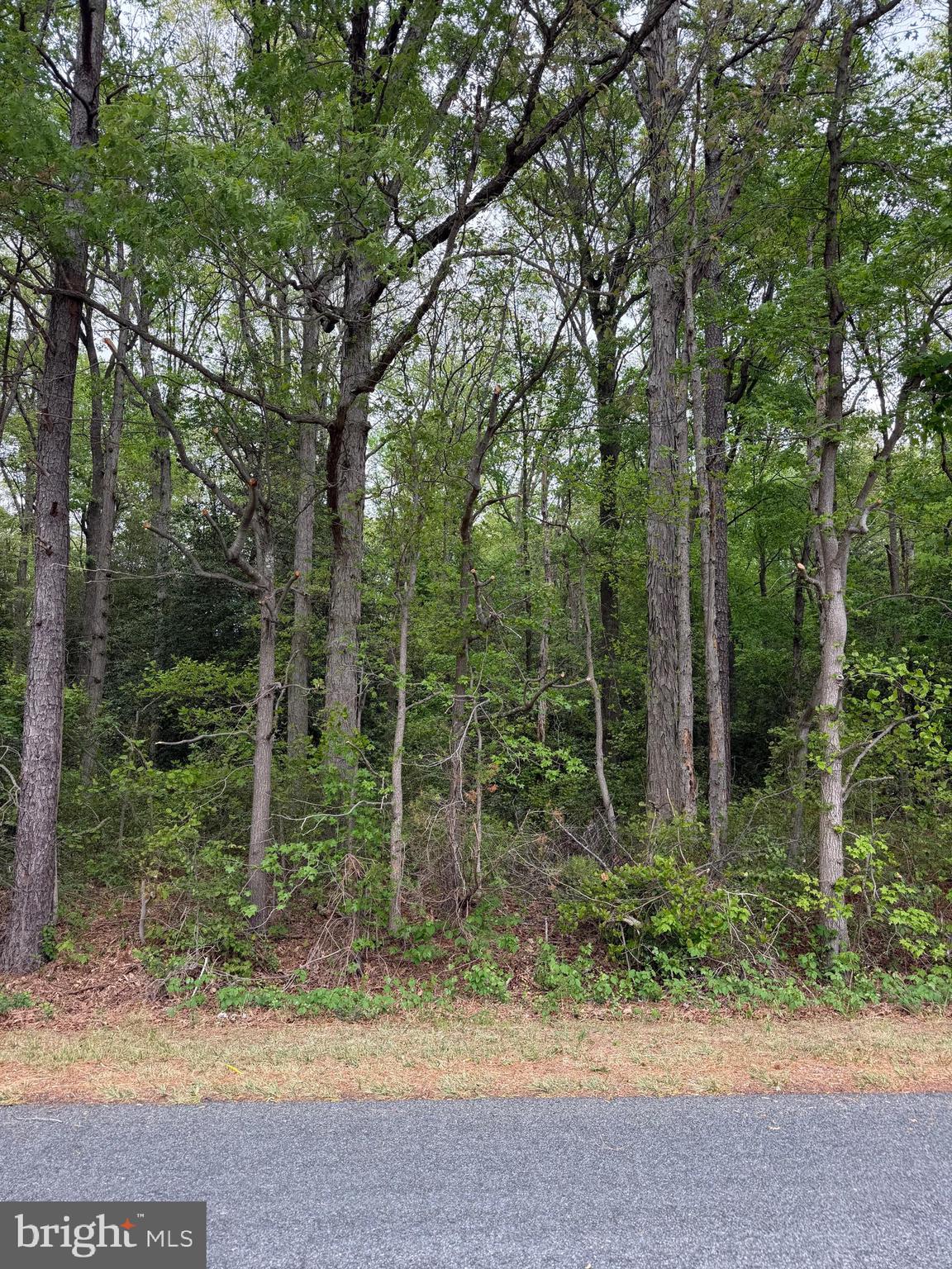 Lot 3 Hunting Quarter Road Harrington, DE 19952 - Photo 1 of 3