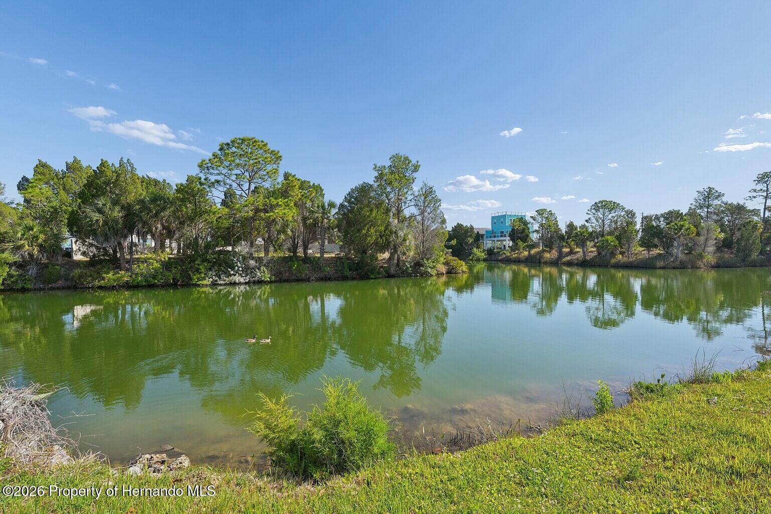 4033 Amberjack Drive Hernando Beach, FL 34607 - Photo 8 of 15