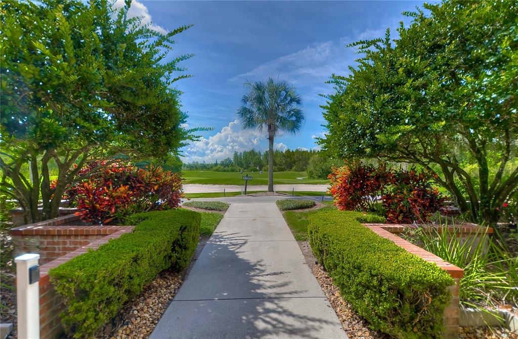 8049 Sanguinelli Road Land O Lakes, FL 34637 - Photo 28 of 33