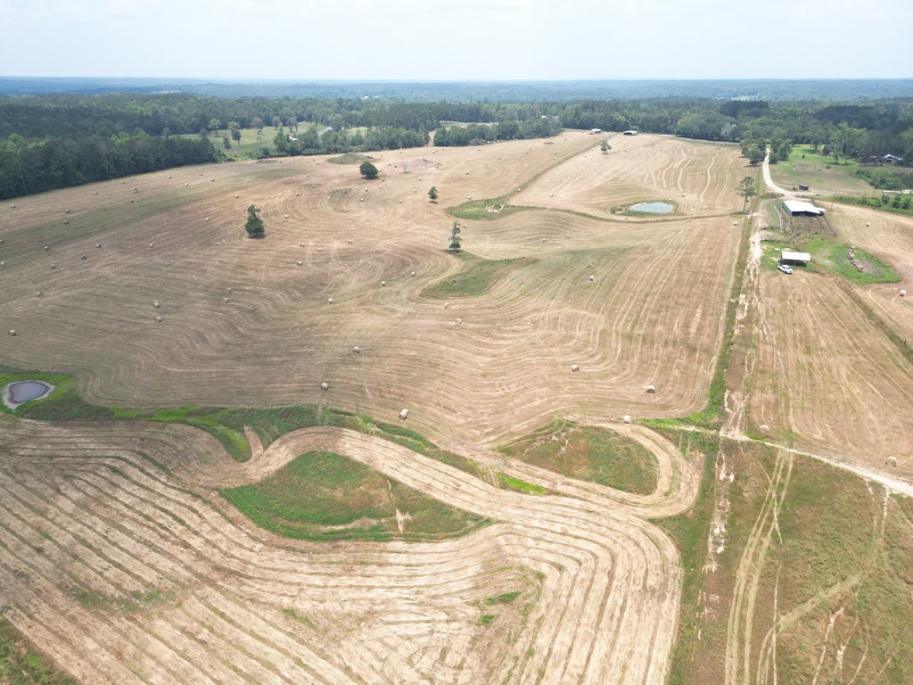 0 Eric Price Road Tylertown, MS 39667 - Photo 3 of 11 Photo 3