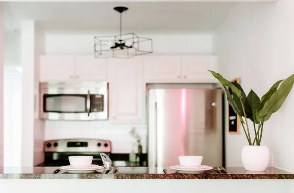 a living room with furniture and a potted plant
