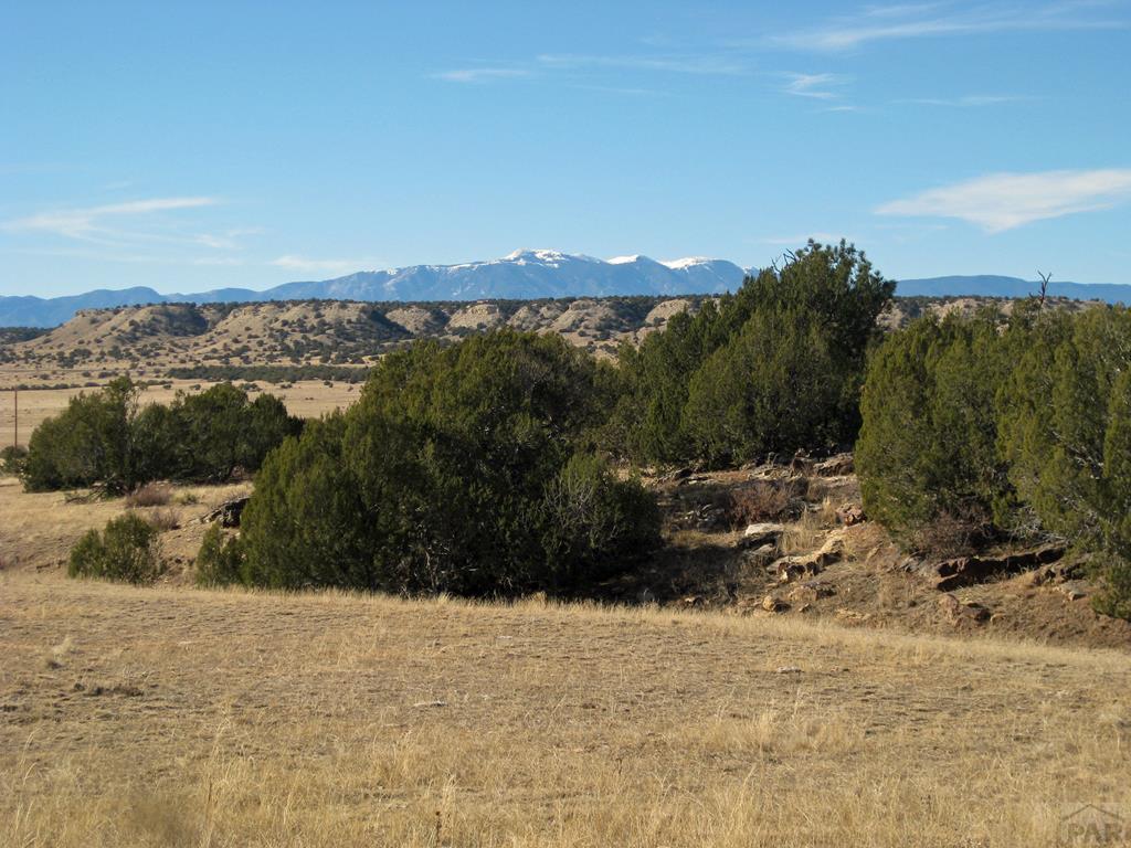 Lot 100 Narrow Gauge Way Rye, CO 81069 - Photo 1 of 42 Gallery Image 1
