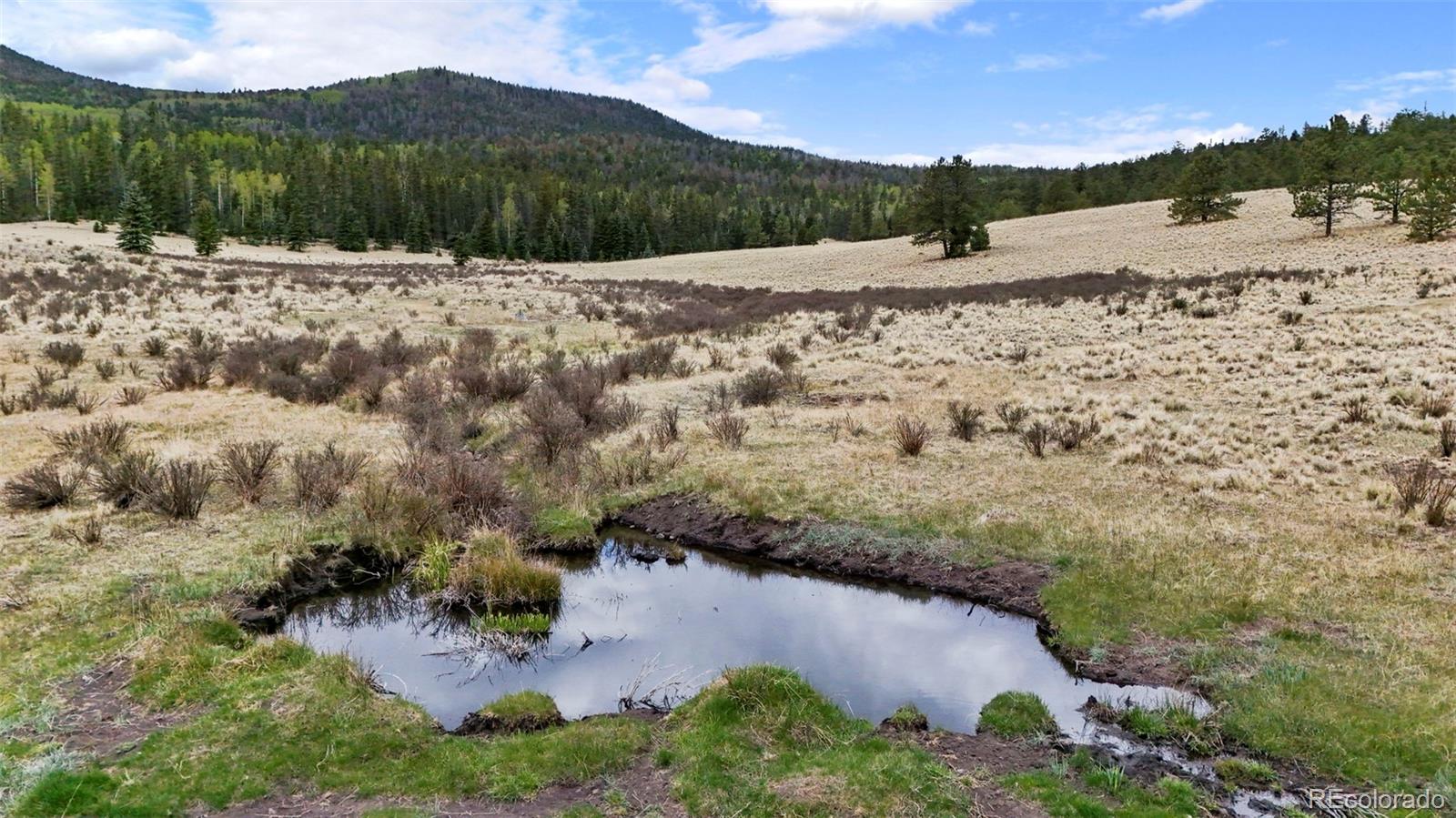 10801 County Road Del Norte, CO 81132 - Photo 36 of 48