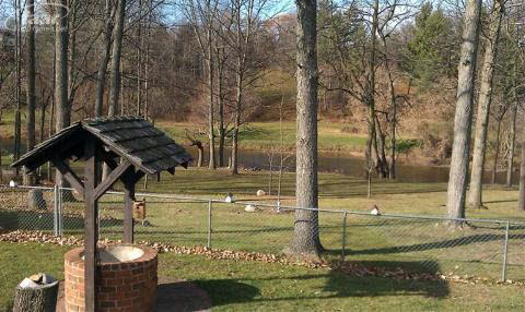 6306 Buell Road Vassar, MI 48768 - Photo 2 of 9 20174717-1.JPG