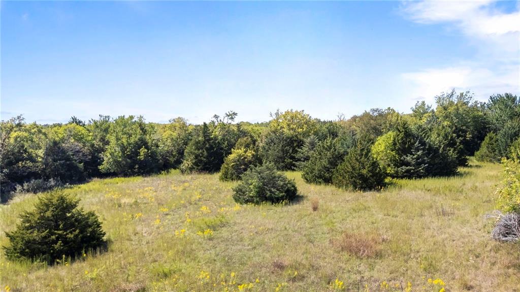 South Kill Creek Road Spring Hill, KS 66083 - Photo 11 of 36