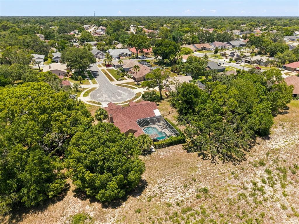 10296 Windsor Court Spring Hill, FL 34608 - Photo 58 of 69