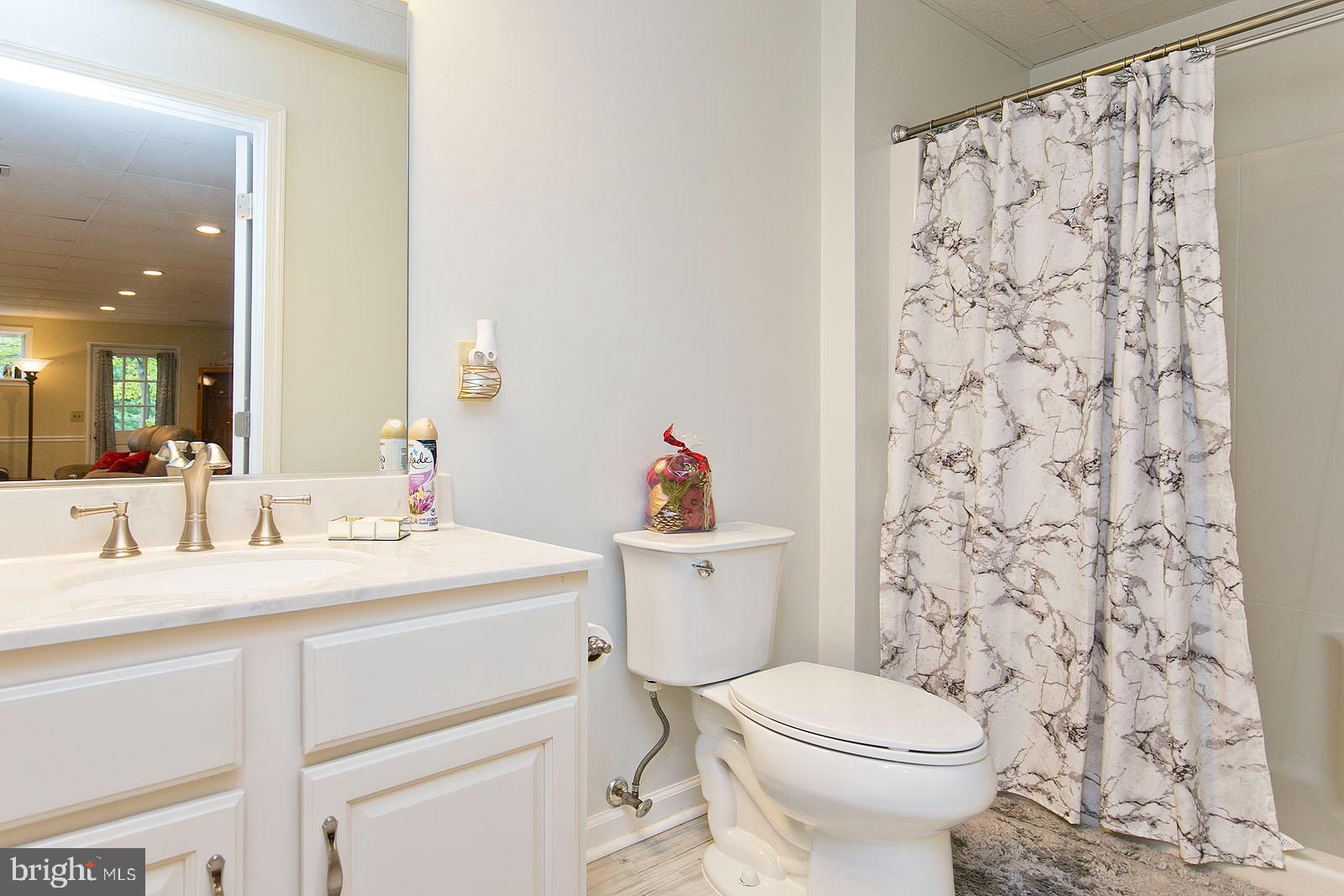2521 Jones Road Winchester, VA 22602 - Photo 42 of 56 Full basement bathroom