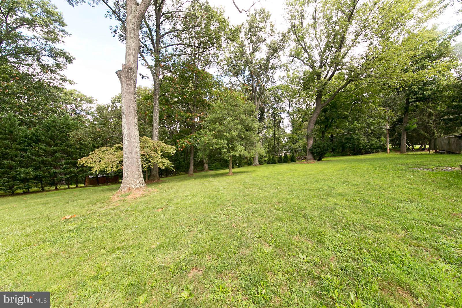 2521 Jones Road Winchester, VA 22602 - Photo 52 of 56 Tranquil backyard