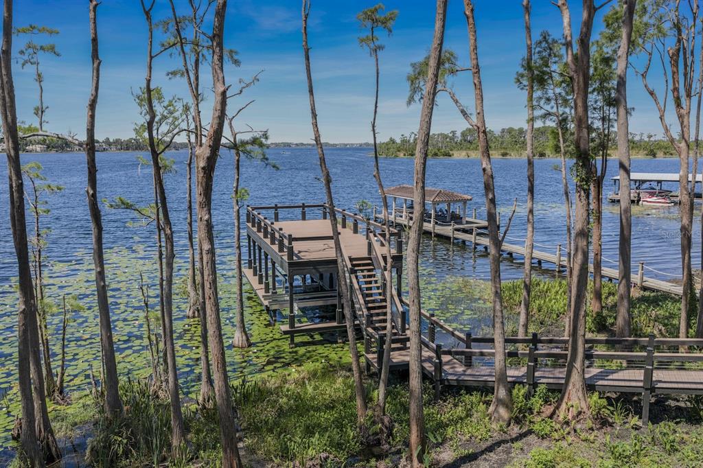 728 Forest Street Windermere, FL 34786 - Photo 82 of 98