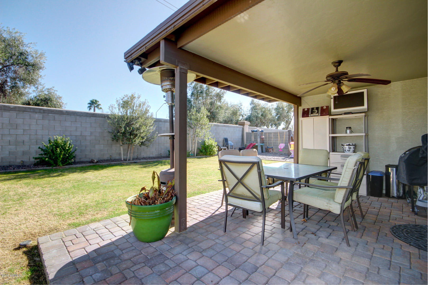 717 North Joshua Tree Lane Gilbert, AZ 85234 - Photo 22 of 35 Joshua Tree (26)