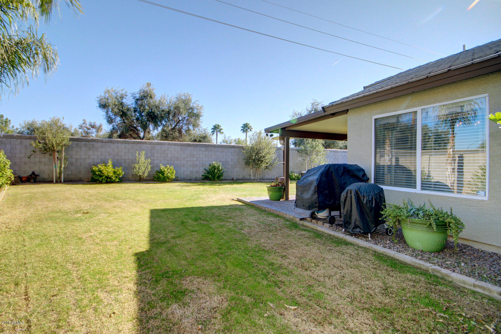 717 North Joshua Tree Lane Gilbert, AZ 85234 - Photo 24 of 35 Joshua Tree (28)