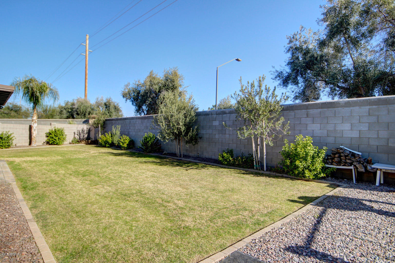 717 North Joshua Tree Lane Gilbert, AZ 85234 - Photo 27 of 35 Joshua Tree (31)
