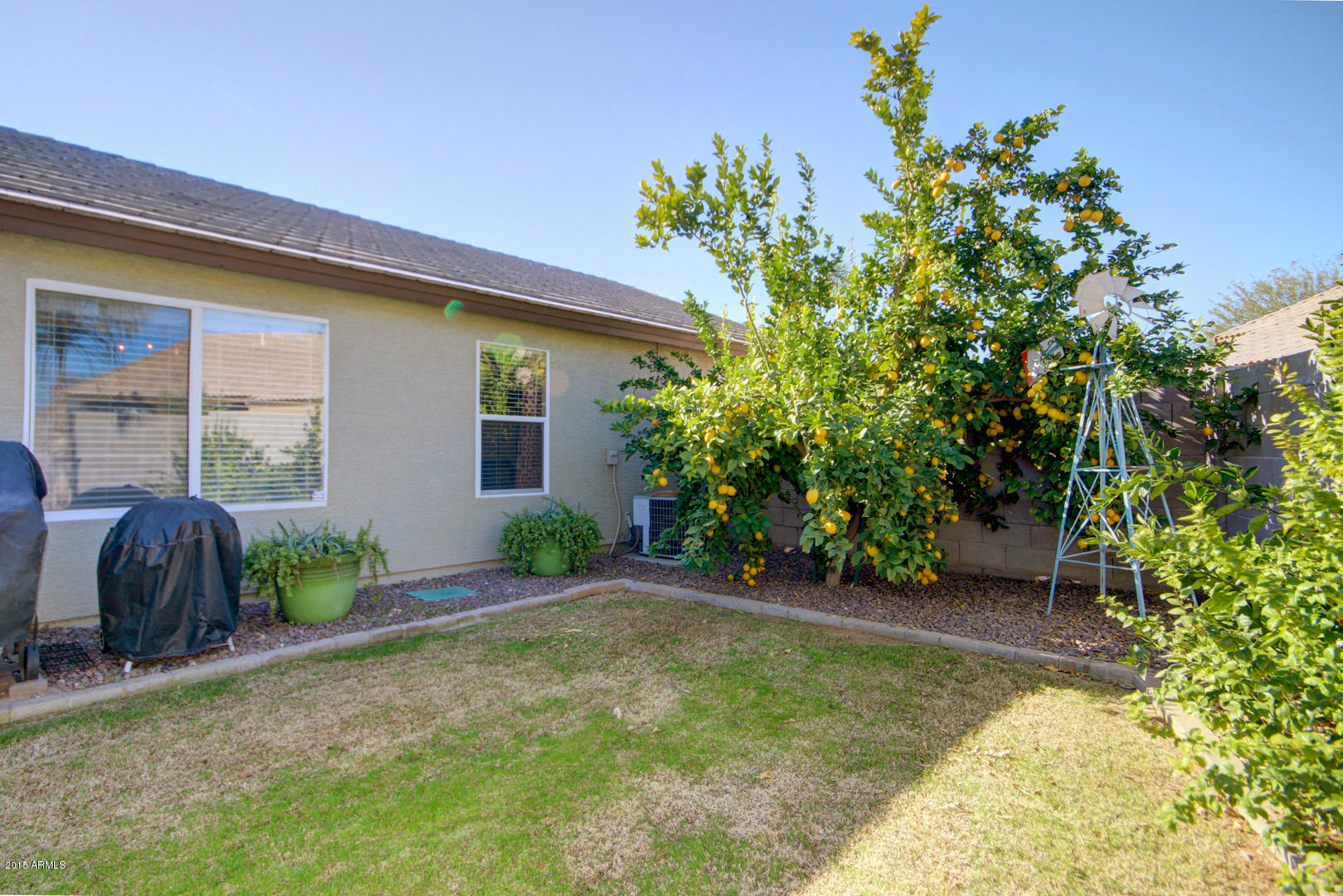 717 North Joshua Tree Lane Gilbert, AZ 85234 - Photo 28 of 35 Joshua Tree (32)