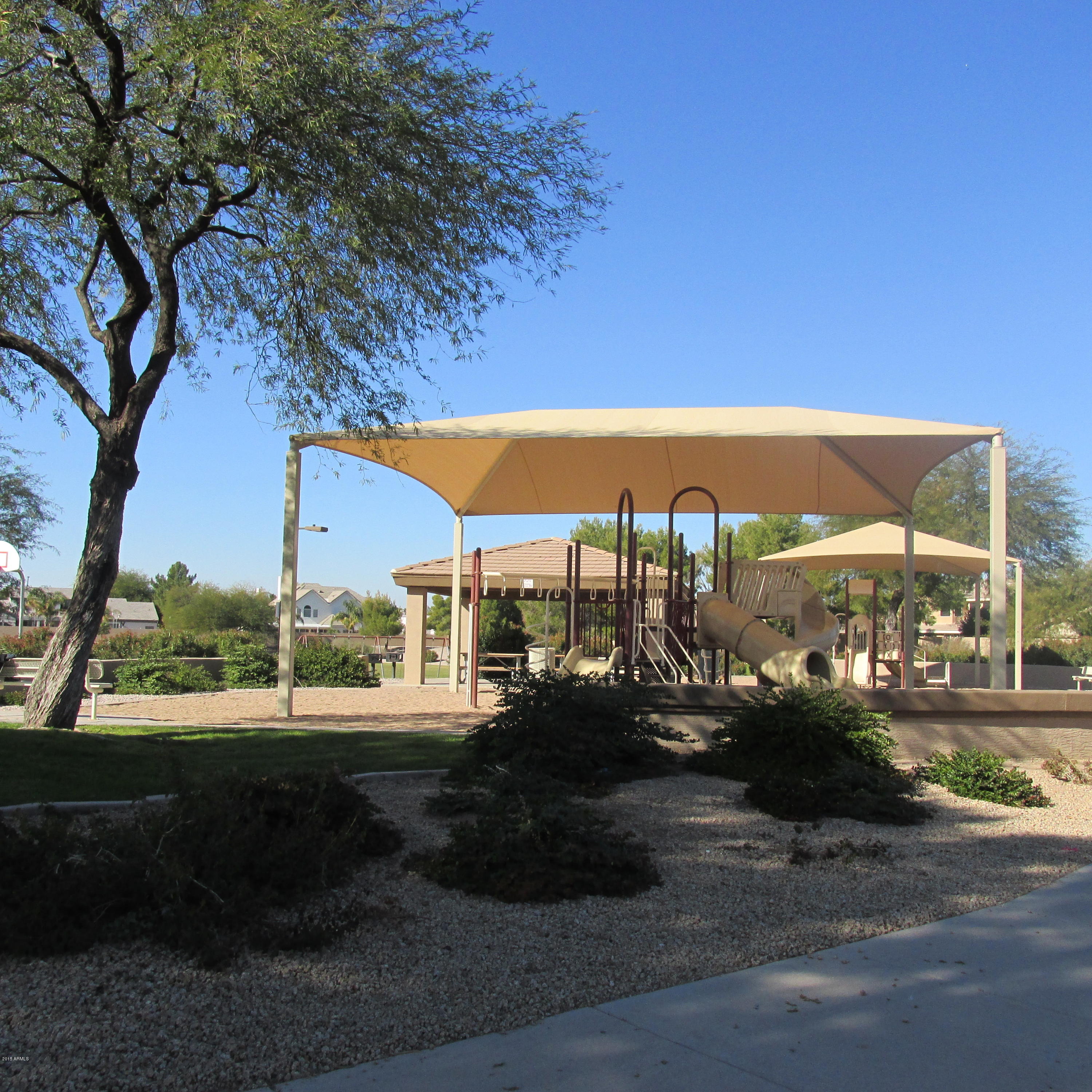 717 North Joshua Tree Lane Gilbert, AZ 85234 - Photo 30 of 35 IMG_1158