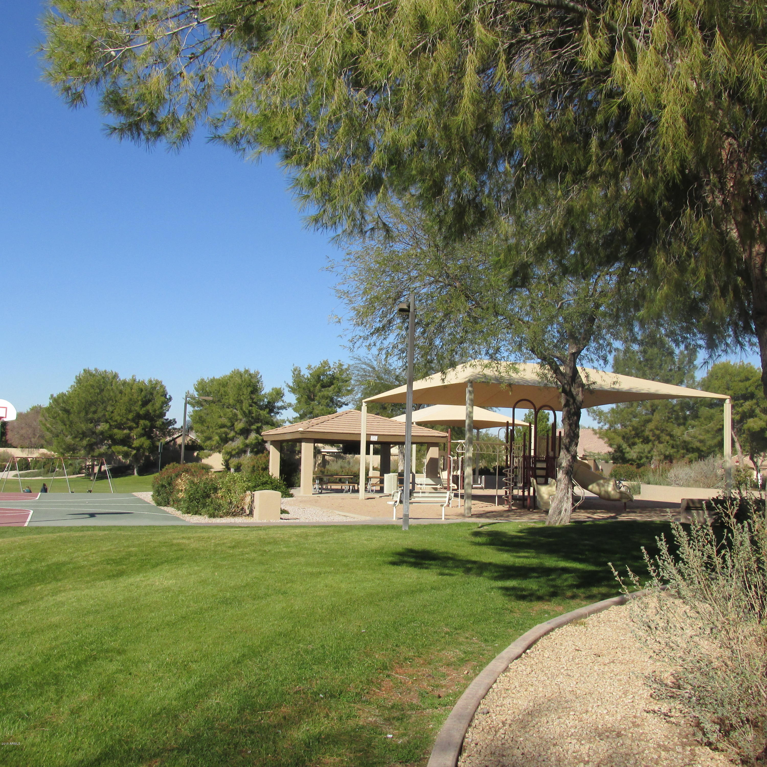 717 North Joshua Tree Lane Gilbert, AZ 85234 - Photo 31 of 35 IMG_1159