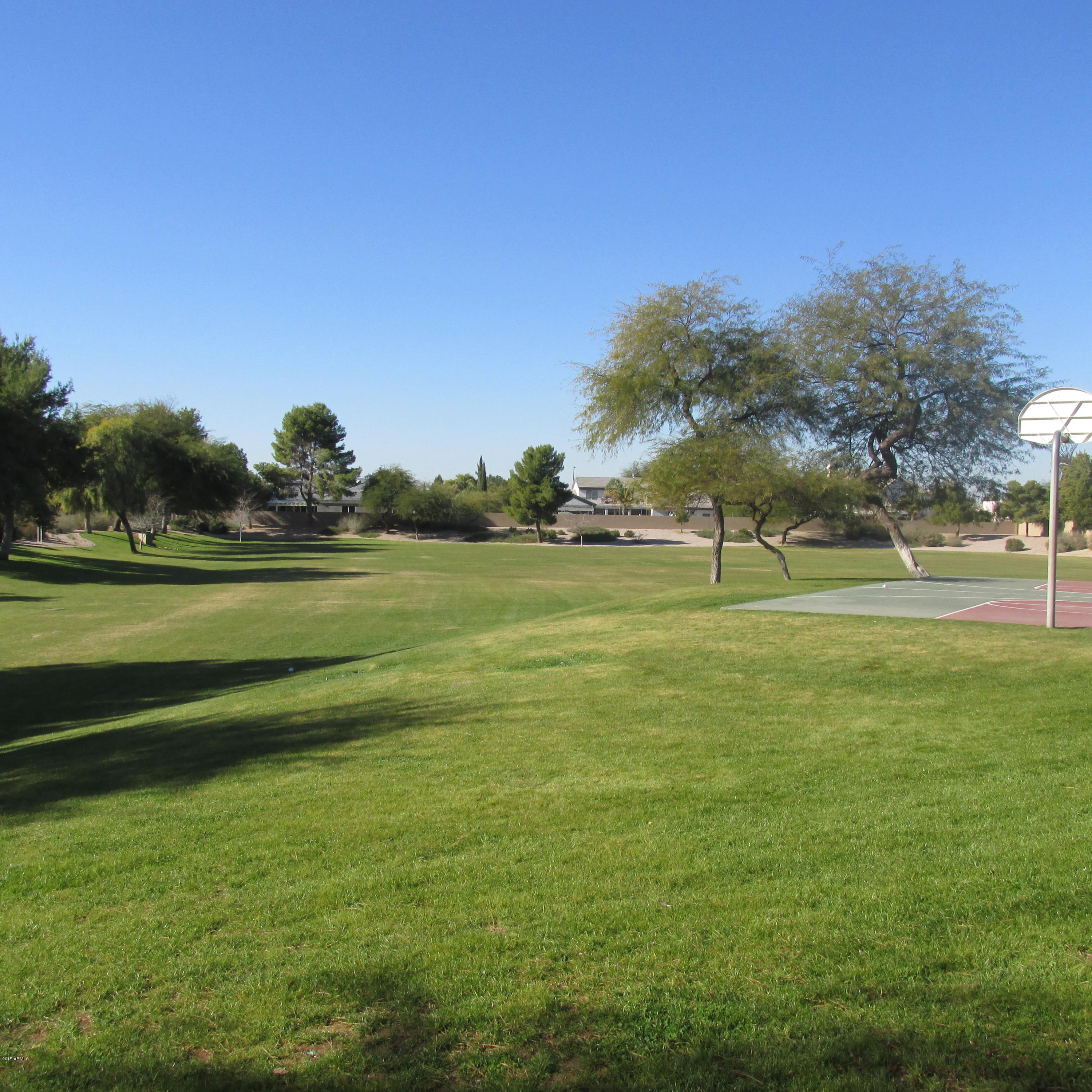 717 North Joshua Tree Lane Gilbert, AZ 85234 - Photo 32 of 35 IMG_1160