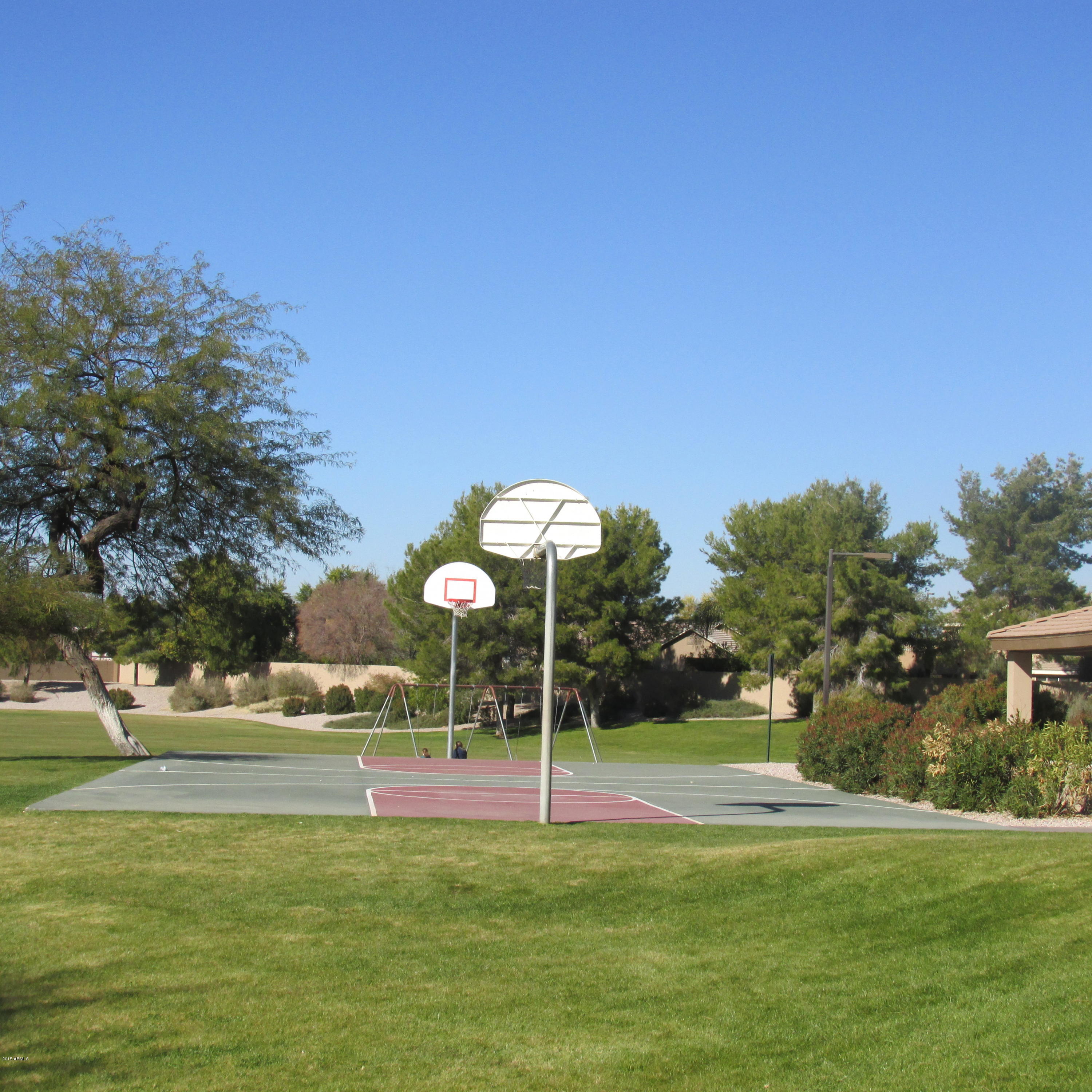 717 North Joshua Tree Lane Gilbert, AZ 85234 - Photo 33 of 35 IMG_1161