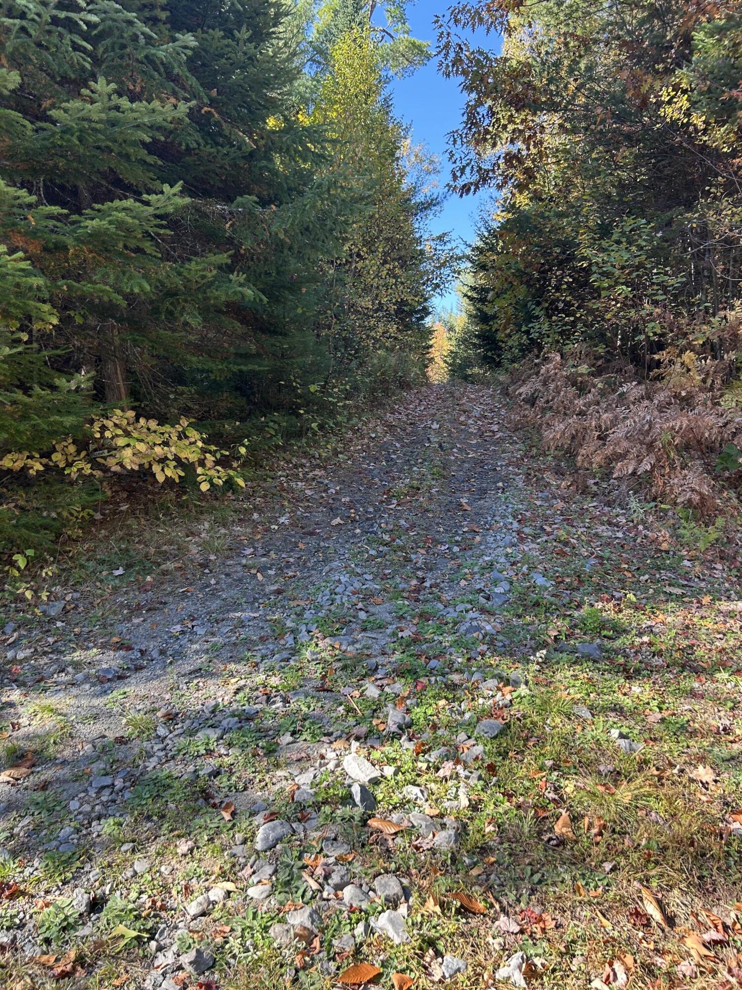 M1-l1-3 Bowerbank Road Sebec, ME 04481 - Photo 28 of 39