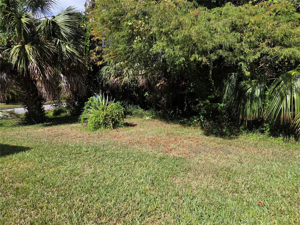 3239 Lori Lane, Unit 3239 New Port Richey, FL 34655 - Photo 24 of 33 a view of backyard with green space