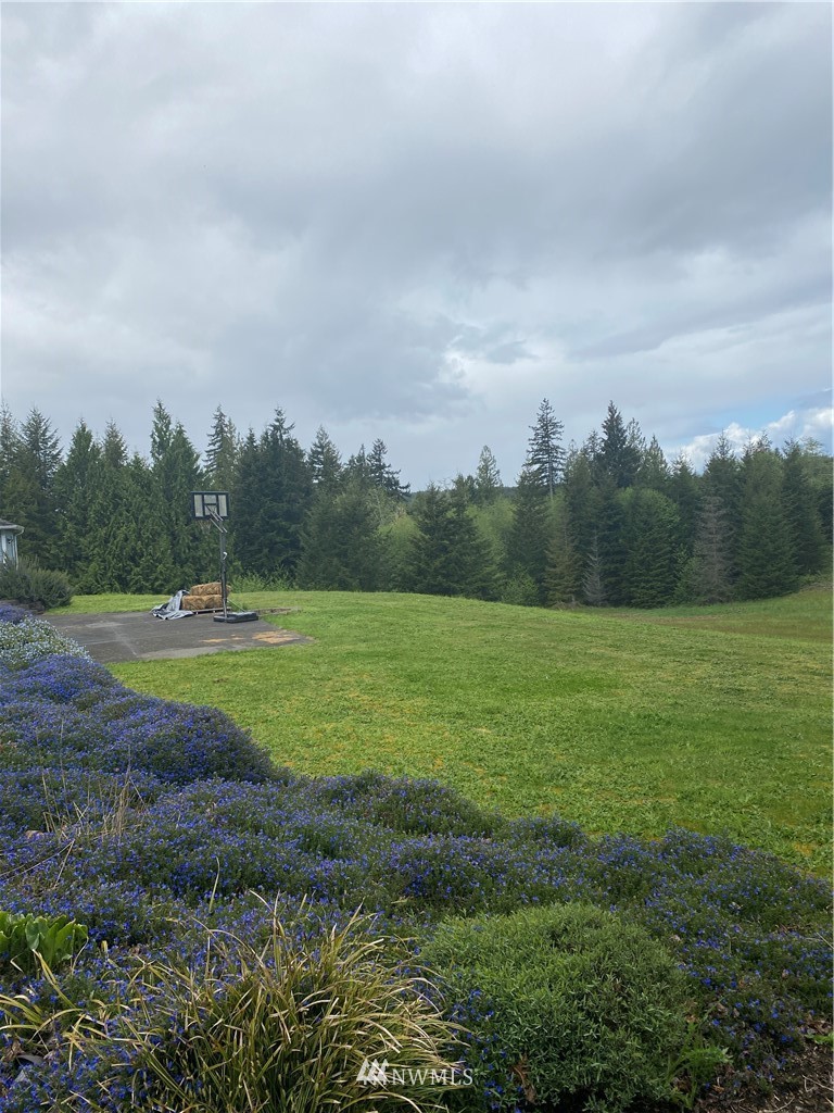31 Strawberry Hill Road Elma, WA 98541 - Photo 40 of 40 Gallery Image 40