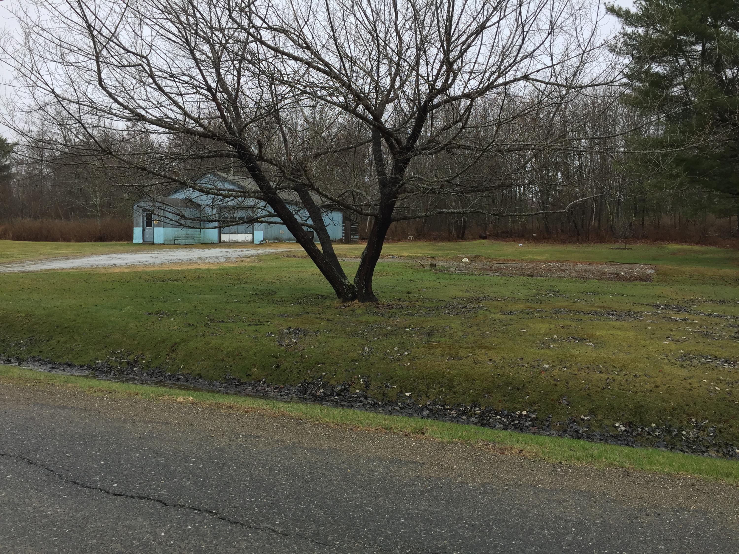 19 Baker Road Belfast, ME 04915 - Photo 10 of 11 bakergrass3