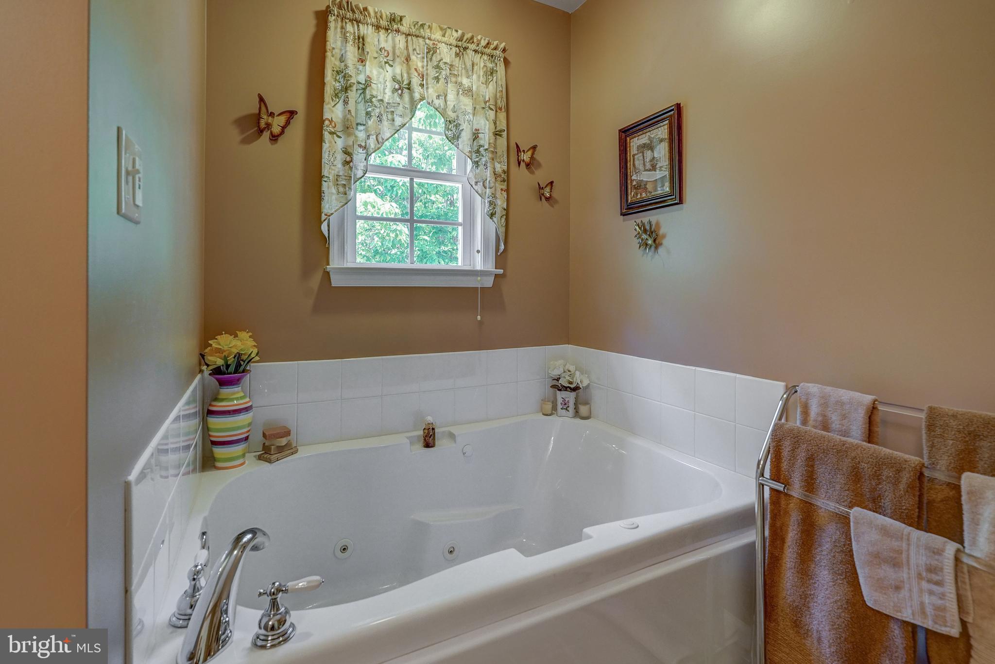 768 Ridgemont Drive Louisa, VA 23093 - Photo 32 of 62 Gallery Image 32