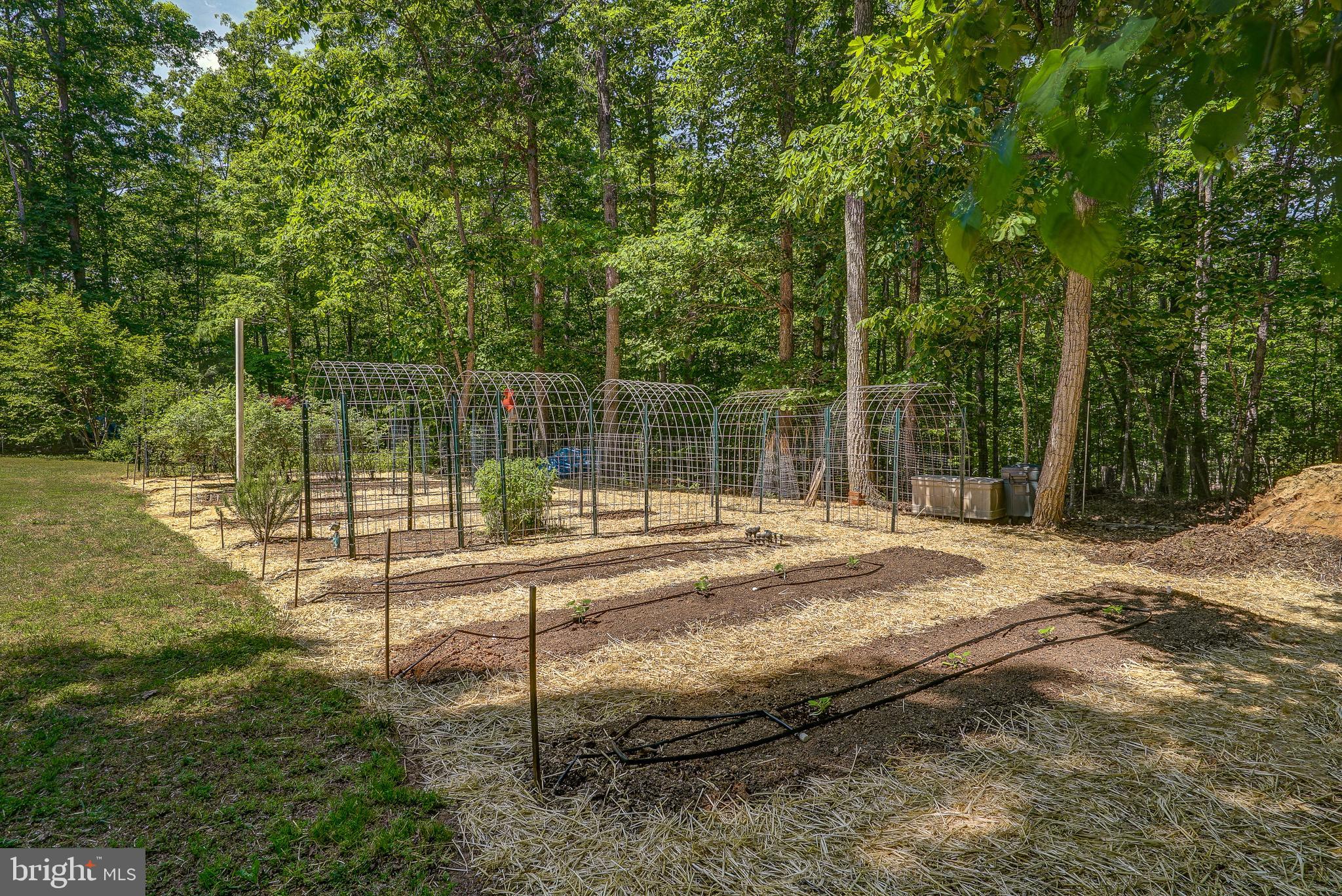 768 Ridgemont Drive Louisa, VA 23093 - Photo 54 of 62 Gallery Image 54