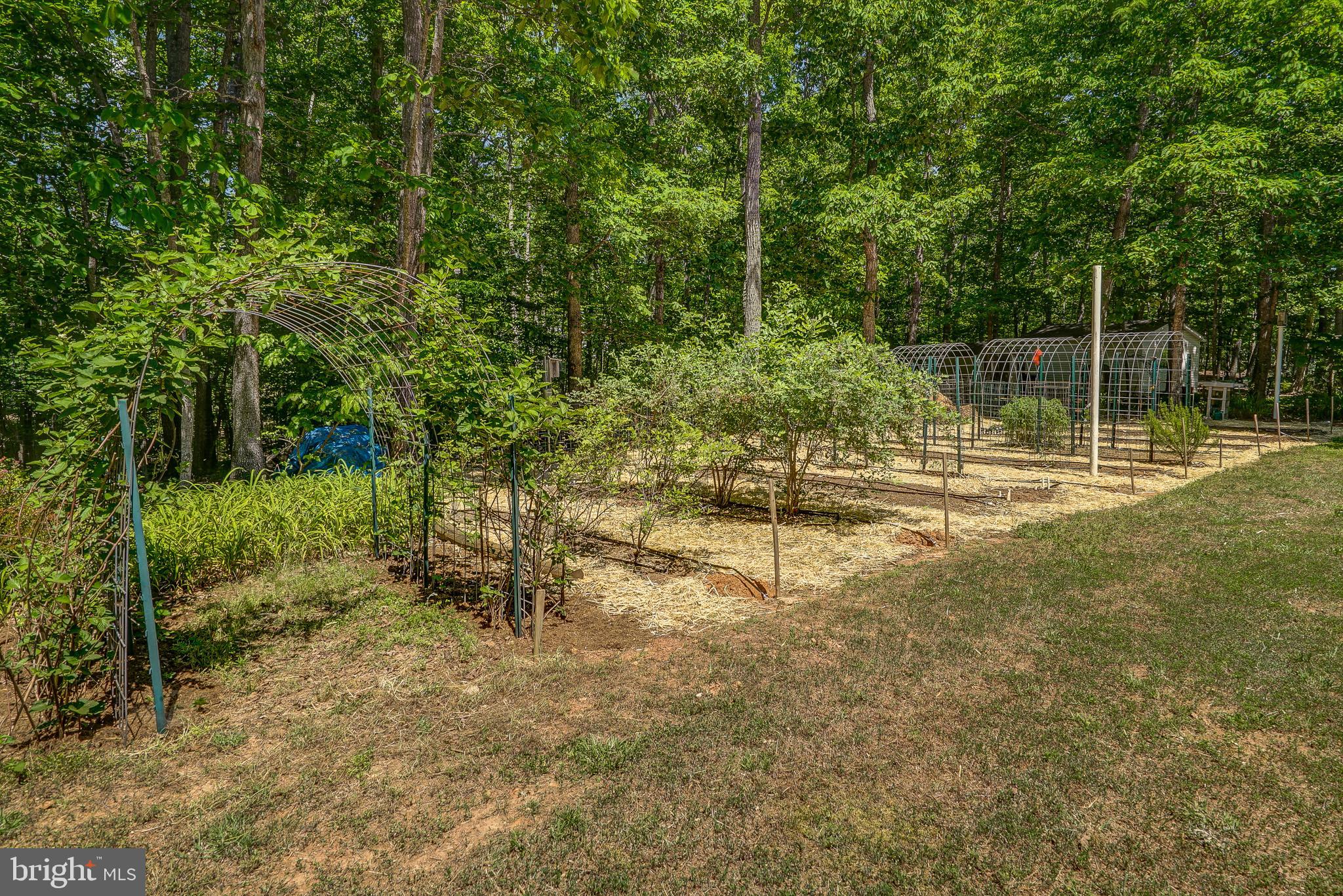 768 Ridgemont Drive Louisa, VA 23093 - Photo 56 of 62 Gallery Image 56