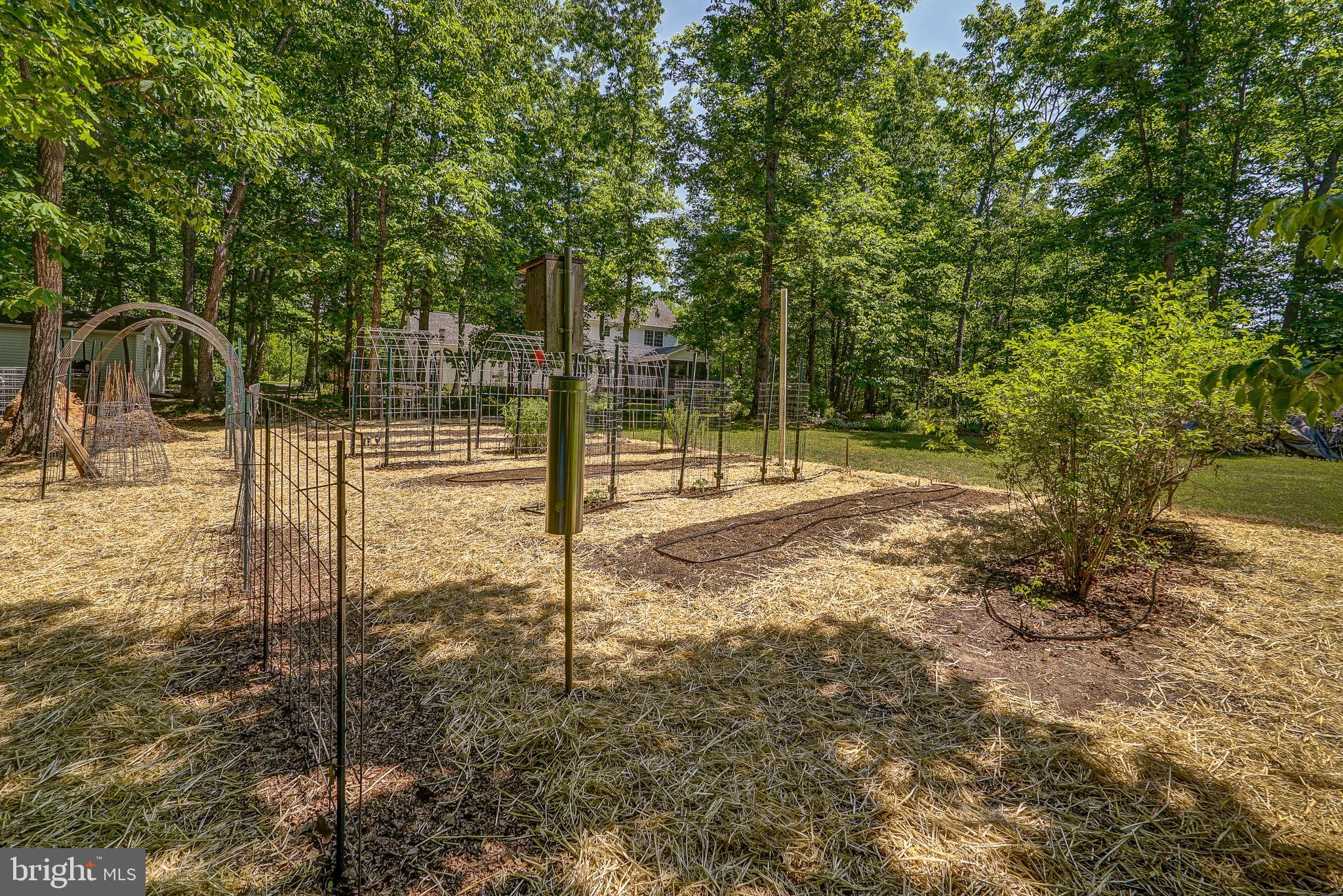 768 Ridgemont Drive Louisa, VA 23093 - Photo 57 of 62 Gallery Image 57