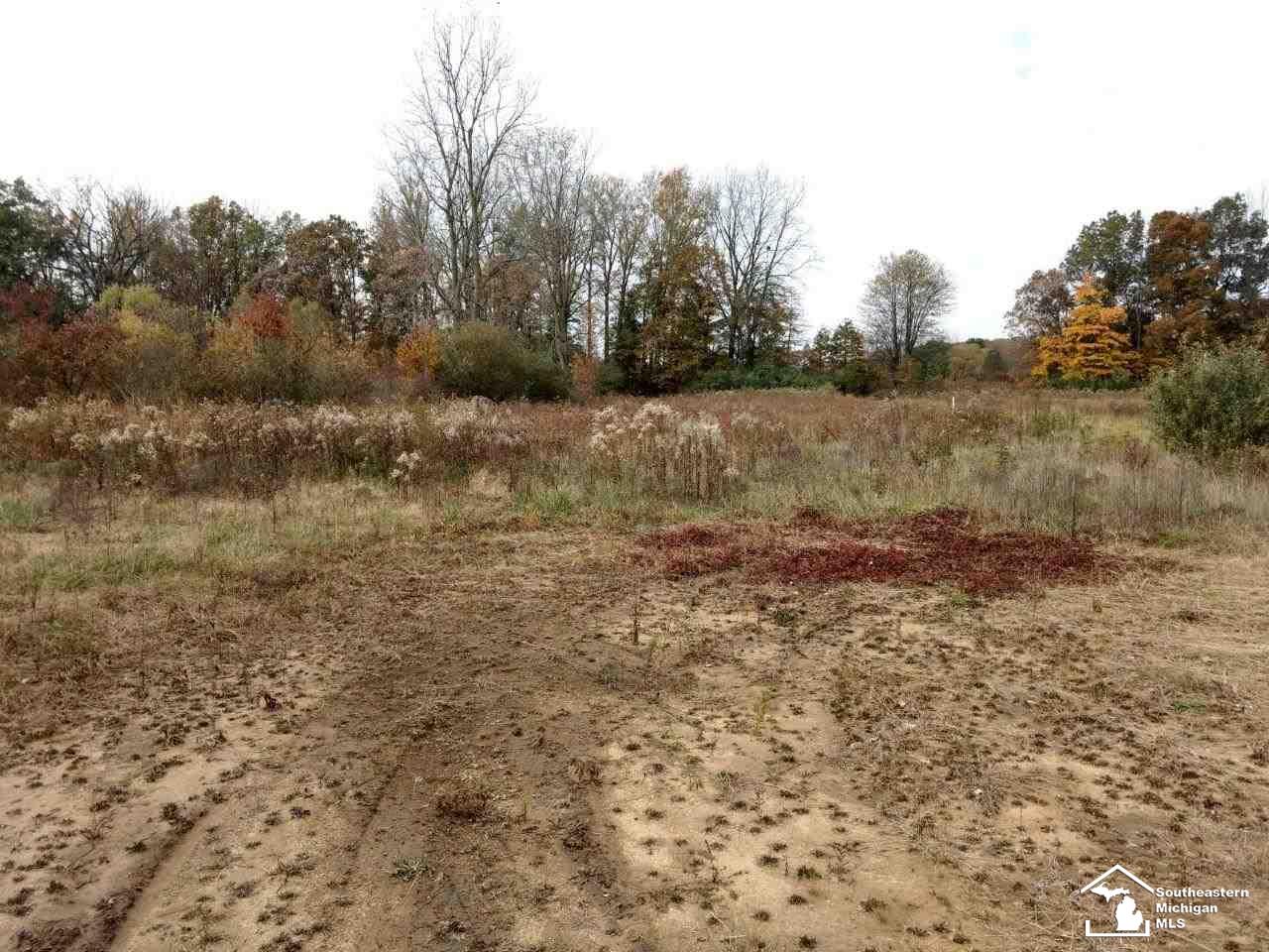 5400 Wells Road Petersburg, MI 49270 - Photo 10 of 11