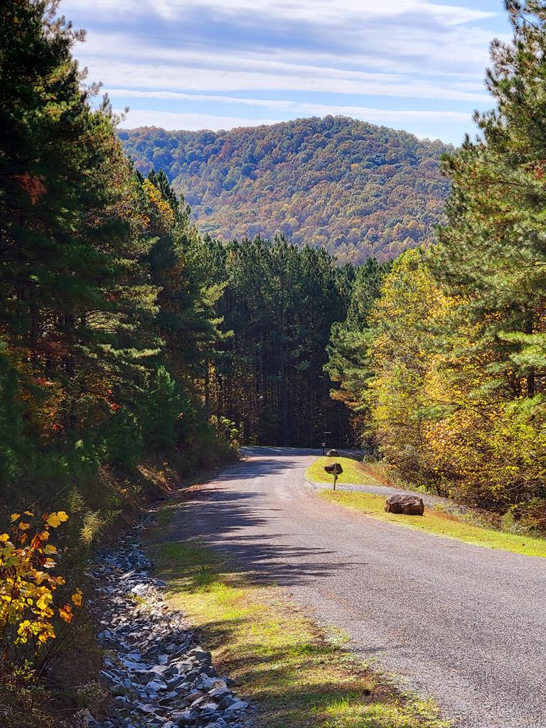 Lot 6 Black Bear Ridge Road Ellijay, GA 30536 - Photo 1 of 19 Main View