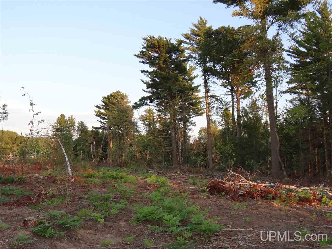 Tbd Liminga Road Atlantic Mine, MI 49905 - Photo 8 of 15 Gallery Image 8