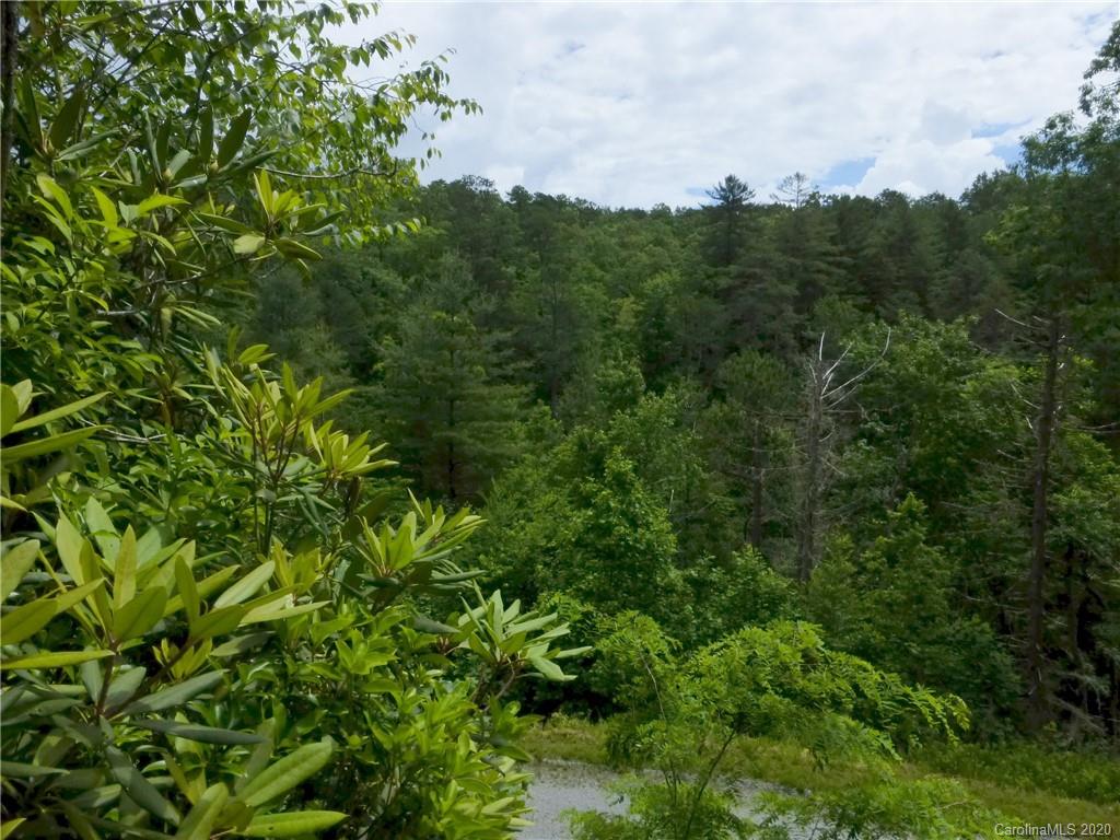 6 Long Branch Road, Unit 6 Brevard, NC 28712 - Photo 1 of 17 Gallery Image 1