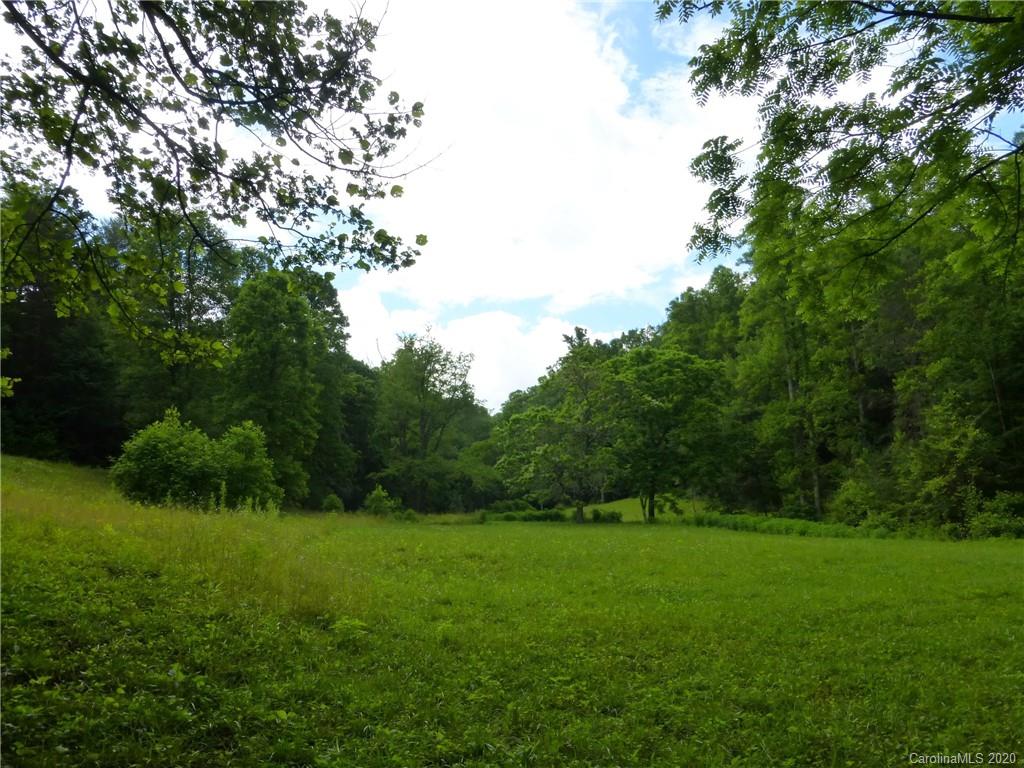 6 Long Branch Road, Unit 6 Brevard, NC 28712 - Photo 17 of 17 Gallery Image 17