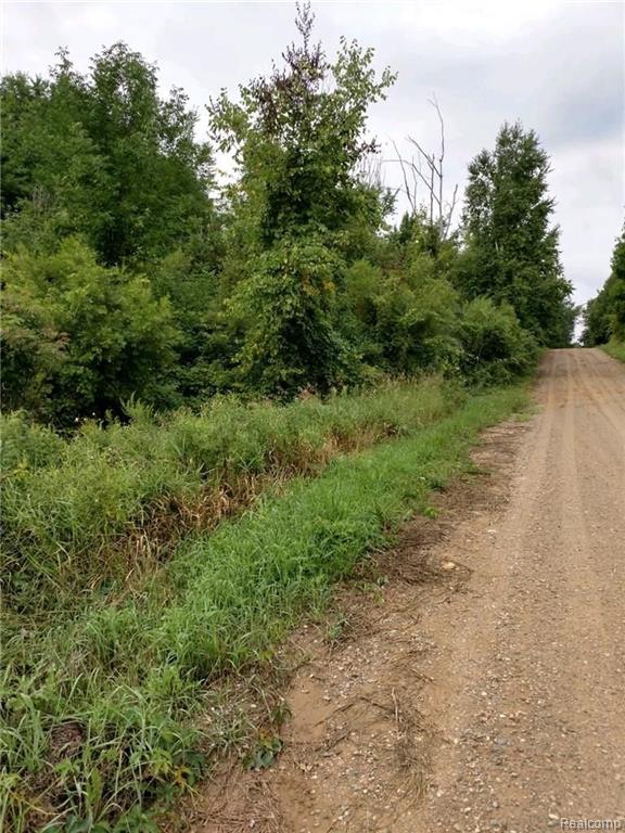 0 Lanway Road Clifford, MI 48727 - Photo 2 of 7