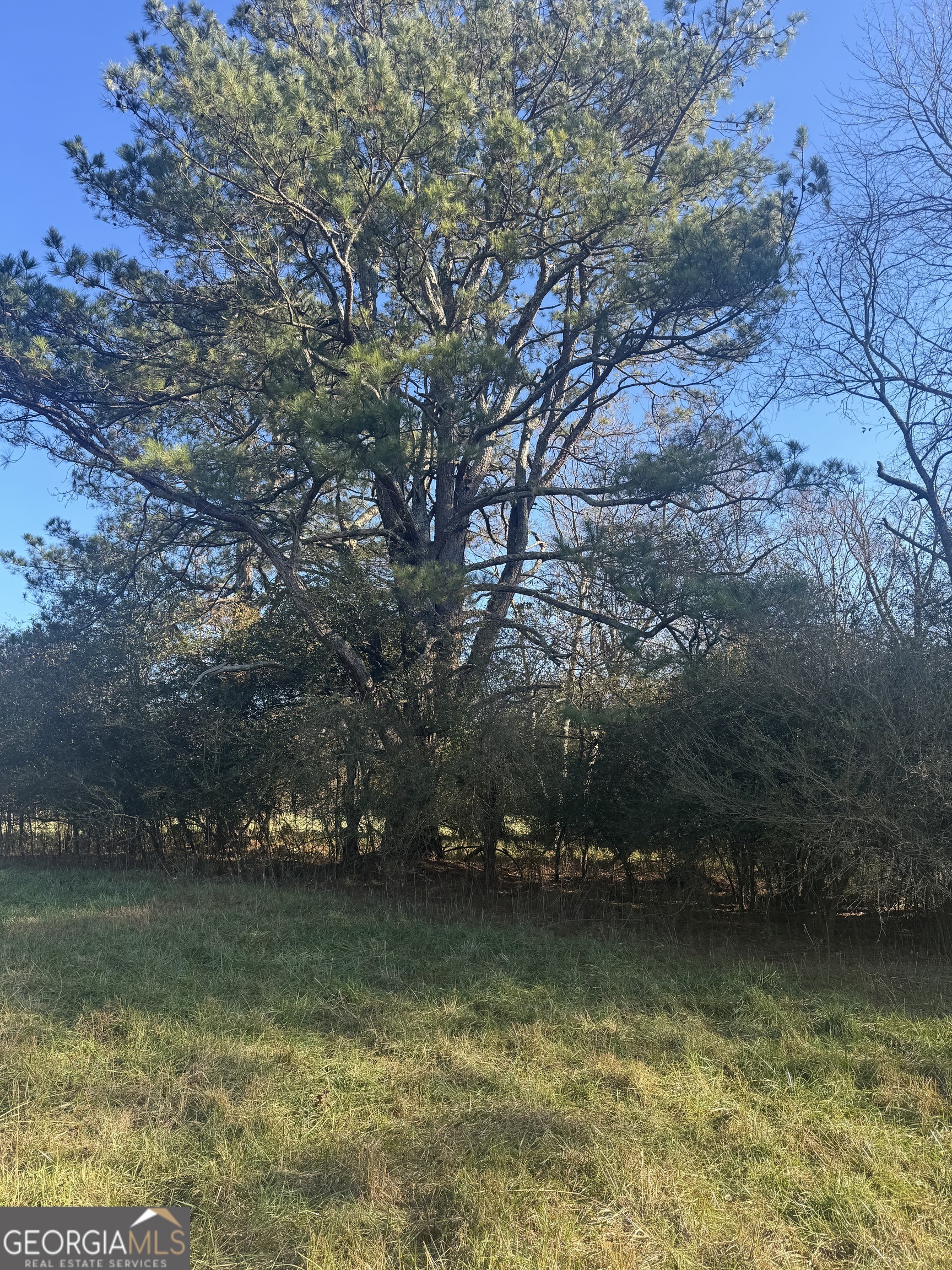 2025 Oakley Trail Statham, GA 30666 - Photo 11 of 12