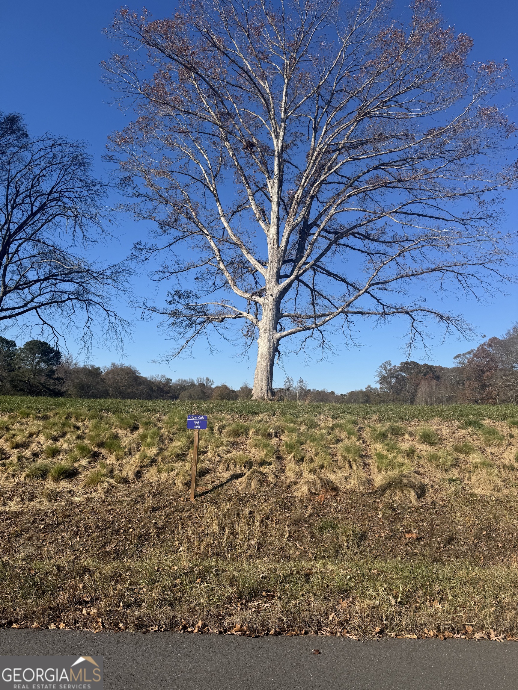 2025 Oakley Trail Statham, GA 30666 - Photo 4 of 12
