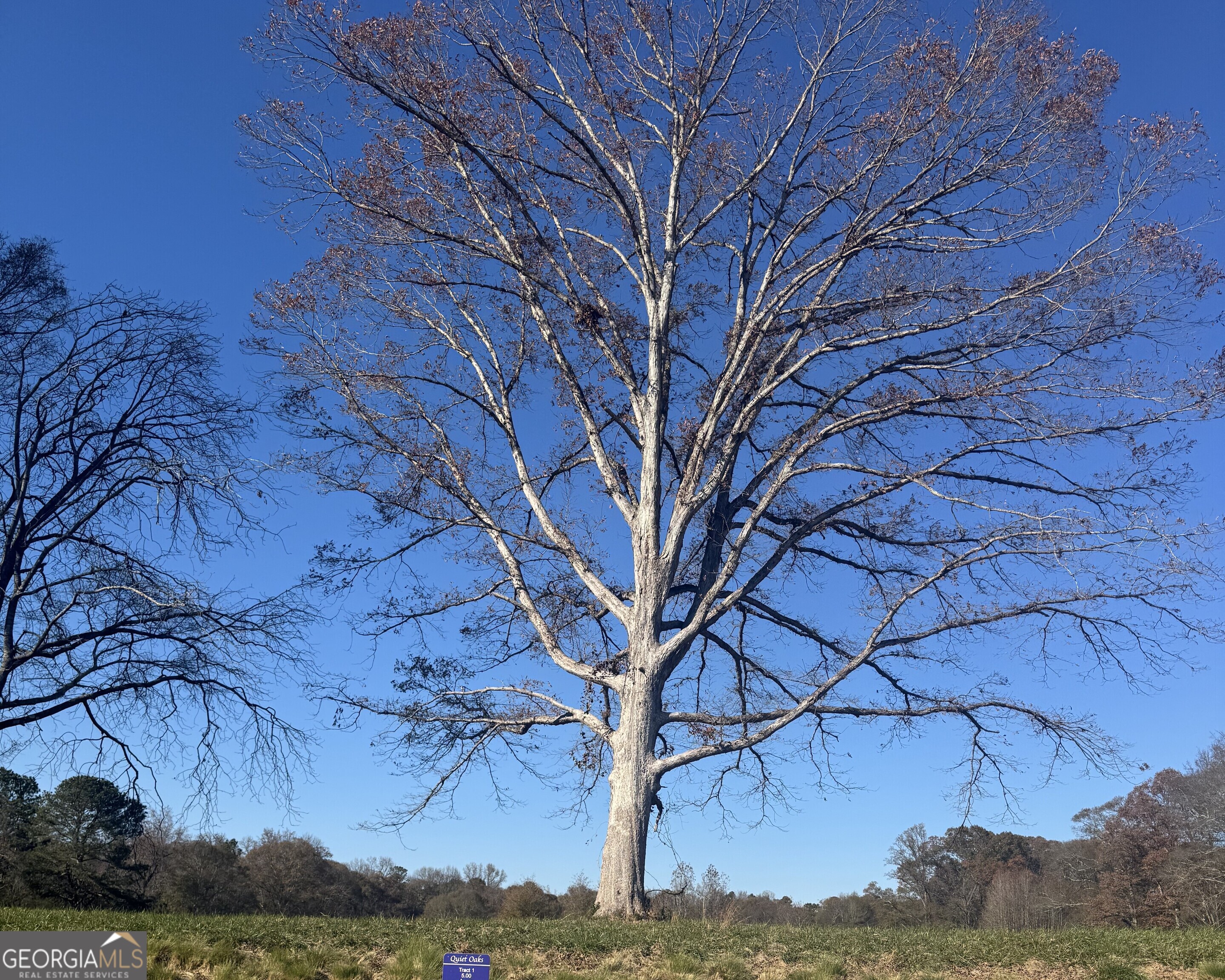 2025 Oakley Trail Statham, GA 30666 - Photo 5 of 12