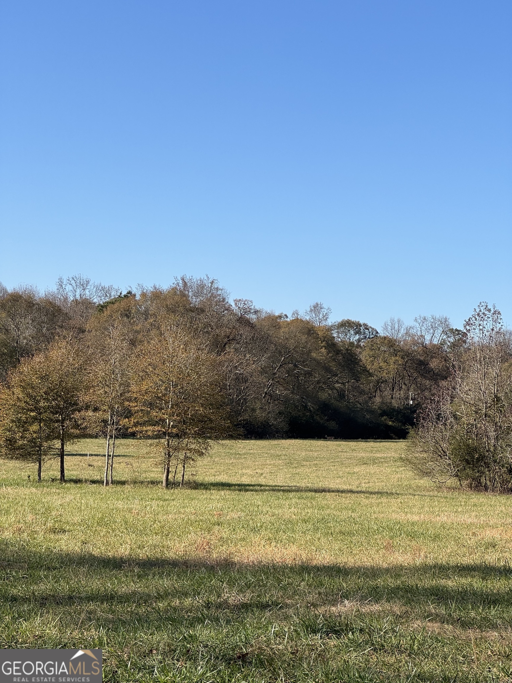 2025 Oakley Trail Statham, GA 30666 - Photo 7 of 12