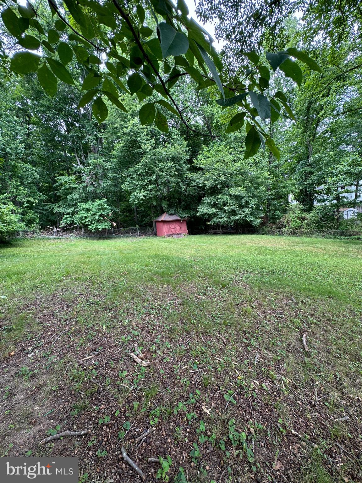 9401 Cheltenham Avenue Clinton, MD 20735 - Photo 16 of 16 a view of a big yard with plants and large trees